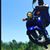 Swayze Preston Lind's profile image
