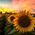 Davida Burgess's profile image