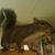 Rick Stokely's profile image