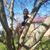 Lori Kuhns's profile image