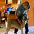 Joey Santarseri's profile image