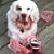 Sue A Blodgett's profile image