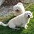 Liz Sewell-orton's profile image