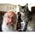 William Noack's profile image