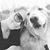 Andrea Weaver's profile image
