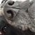 Christian Escobar-Flores's profile image