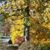 Kinza Frett- Bryant's profile image