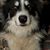 Katherine Callaghan-Cox review for Blue Mountain Bed and Breakfast