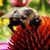 Sarah Carr's profile image