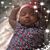 Toni Wilkins's profile image