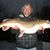 Michael Richardson's profile image