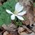 Dorinda Doss's profile image