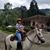 Claudia Herrera's profile image