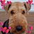 Peggy Oberstar's profile image