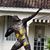Joe A Aurich's profile image