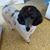 Aleta Sullivan's profile image