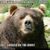 Michael Simbeck's profile image