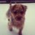 Shay Wichael Kelley's profile image