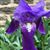 Sallyann Bowman's profile image