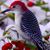 Christine Malloy-Brooks's profile image