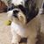Tasia Hargett's profile image