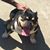 Billy Tyler's profile image