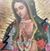 Guadalupe Figueroa's profile image