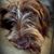 David Phillips's profile image