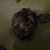 Rhonda Bolin's profile image