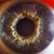 Richard H Hickson's profile image