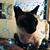 Valarie Boliver-Goodwin's profile image