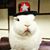 Cat Logsdon's profile image