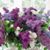 Vickie Bowshier's profile image