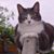 Martha M. Gouin's profile image