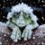 Catherine M. O'Connor's profile image