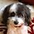Linda Rosato's profile image