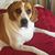 Kathy Vinson Dobbins's profile image