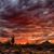 Bob Wesoloski's profile image
