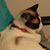 Rose Dallavalle's profile image