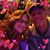 Carolyn Begley's profile image