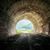 Susan Brewer LaBaire's profile image