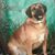 Lacey Dalby's profile image