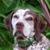 Setembrina Bramante's profile image
