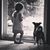 Jessica DeLeo's profile image