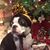 Vickie Dietrich's profile image