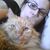 Lori Ann's profile image