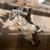 Mesocute Radak's profile image