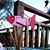 Leslie Boedigheimer's profile image