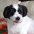 Denise Hill's profile image