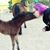 Nicole Marie Cox's profile image